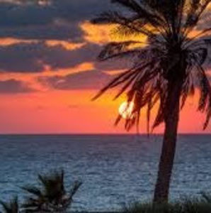 Meet your Posher, Lacey